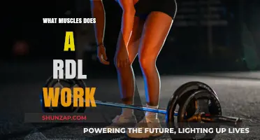 Muscles Targeted by RDLs: A Comprehensive Breakdown of Benefits