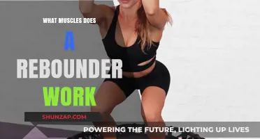 Rebounder Workout Benefits: Targeted Muscles and Full-Body Fitness Explained