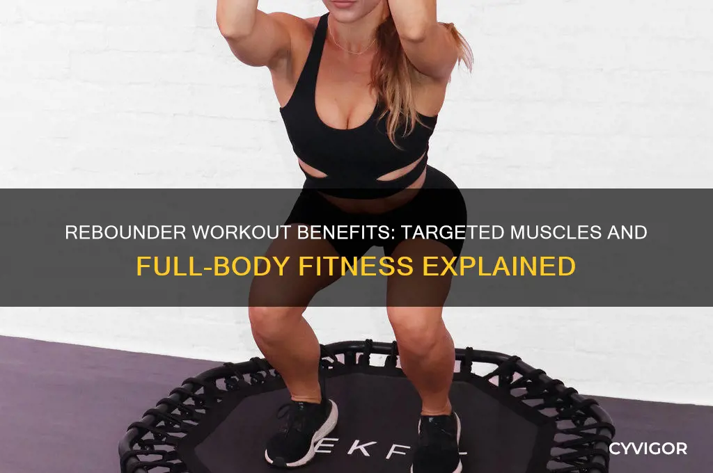 what muscles does a rebounder work