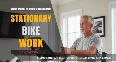 Recumbent Bike Benefits: Targeted Muscles for a Full-Body Workout