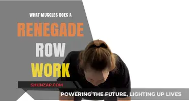 Renegade Row Muscles: Core, Back, and Arm Benefits Explained