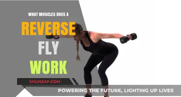 Reverse Fly Workout: Targeting Upper Back and Shoulder Muscles