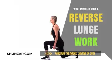 Reverse Lunges: Target Muscles and Benefits for Lower Body Strength