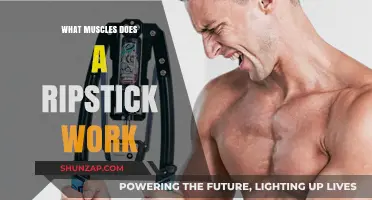 Ripstick Workout Benefits: Targeted Muscles and Full-Body Engagement Explained