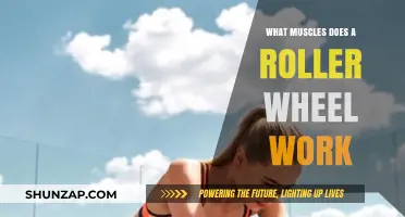 Roller Wheel Workout: Targeted Muscles and Fitness Benefits Explained