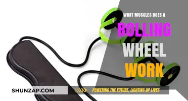 Rolling Wheel Workout: Targeted Muscles and Fitness Benefits Explained