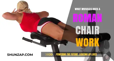 Roman Chair Workout: Targeting Core, Lower Back, and Glute Muscles
