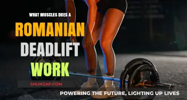 Romanian Deadlift Muscles: Targeted Areas and Benefits Explained