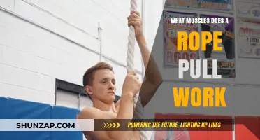 Rope Pull Workout: Targeted Muscles and Full-Body Benefits Explained