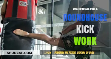 Roundhouse Kick Muscles: Unlocking Core, Leg, and Hip Strength