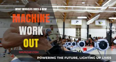 Row Machine Muscles: Targeted Workout for Back, Arms, and Core