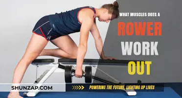 Rowing's Full-Body Benefits: Muscles Targeted in Every Stroke