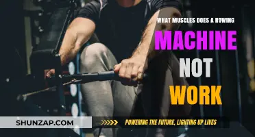 Rowing Machine Muscles: Which Ones Are Left Out of the Workout?