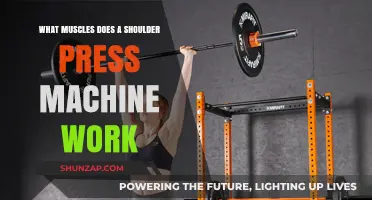 Shoulder Press Machine: Targeted Muscles and Strength Benefits Explained