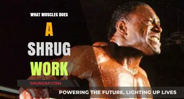 Shrug Exercise Benefits: Targeted Muscles and Strength Training Explained