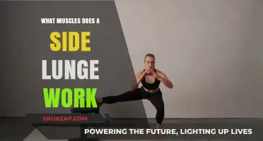 Side Lunge Muscles: Targeted Lower Body Workout Explained