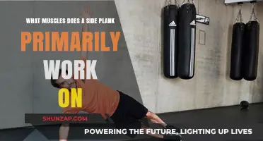 Side Plank Muscles: Core, Obliques, and Shoulder Strengthening Explained