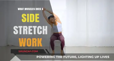 Side Stretch Benefits: Targeted Muscles and Flexibility Explained