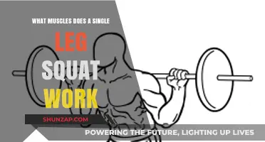 Single Leg Squat Muscles: Unlocking Lower Body Strength and Stability