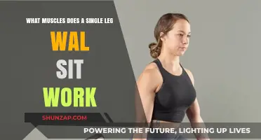 Single Leg Wall Sit: Targeted Muscles and Benefits Explained
