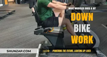 Sit-Down Bike Benefits: Targeted Muscles for Effective Lower Body Workout