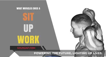Sit-Ups Unveiled: Targeted Muscles and Core Strength Benefits