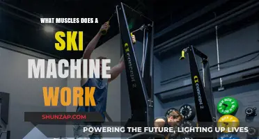 Ski Machine Workout: Targeted Muscles for Strength and Endurance