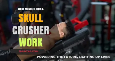 Skull Crushers: Targeted Muscles and Effective Triceps Workout Explained