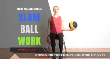 Slam Ball Workout: Targeted Muscles and Full-Body Benefits Explained