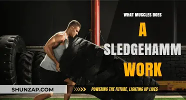 Sledgehammer Workout: Targeted Muscles and Full-Body Benefits Explained