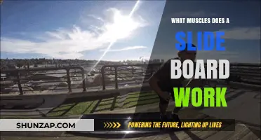 Slide Board Workout: Targeting Muscles for Strength and Agility