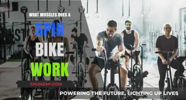 Spin Bike Benefits: Targeted Muscles for a Full-Body Workout