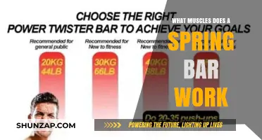 Spring Bar Workout: Targeted Muscles and Fitness Benefits Explained