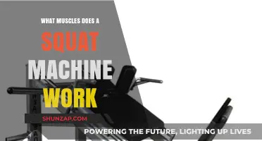 Squat Machine Muscles: Targeted Lower Body Strength Training Explained