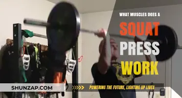 Squat Press Muscles: Targeted Strength Training for Lower Body and Core