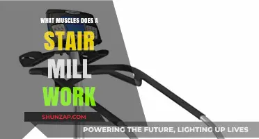 Stair Mill Muscles: Targeted Toning for Legs, Glutes, and Core