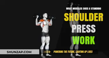 Standing Shoulder Press: Targeted Muscles and Strength Benefits Explained