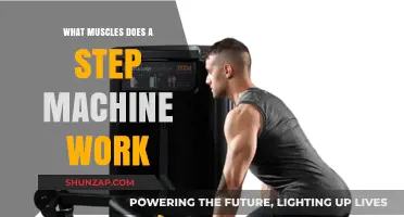 Step Machine Muscles: Targeting Lower Body and Core Strength