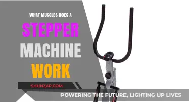 Stepper Machine Muscles: Targeting Lower Body and Core Strength