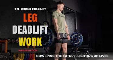 Stiff Leg Deadlift Muscles: Targeted Benefits and Workout Impact