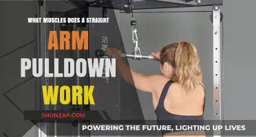 Straight Arm Pulldown: Targeted Muscles and Benefits Explained