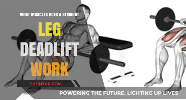 Straight Leg Deadlift Muscles: Targeted Areas and Benefits Explained
