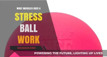 Stress Ball Benefits: Targeted Muscles and Hand Strengthening Explained