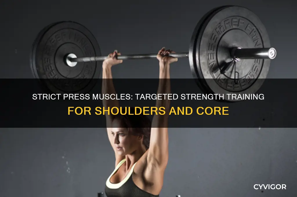 what muscles does a strict press work