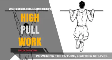 Sumo Deadlift High Pull: Muscles Worked and Benefits Explained