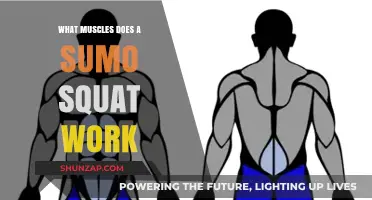 Sumo Squat Muscles: Targeted Lower Body Strength and Toning