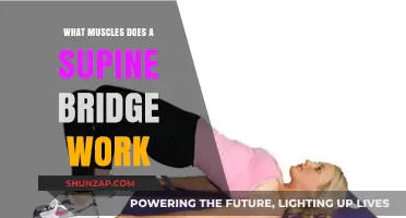 Supine Bridge Benefits: Targeted Muscles and Strength Training Explained