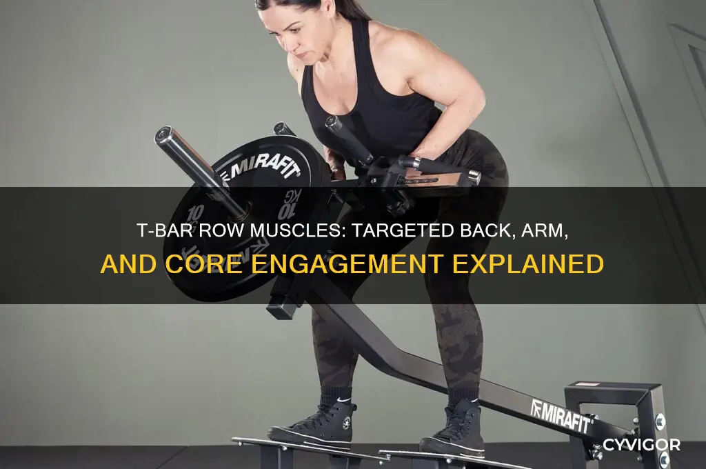 what muscles does a t bar row work