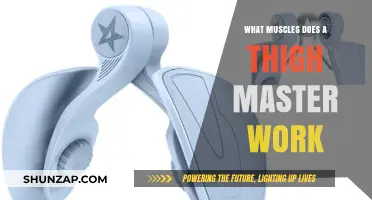 Thigh Master Workout: Targeted Muscles and Toning Benefits Explained