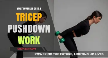 Tricep Pushdown: Target Muscles and Effective Workout Benefits